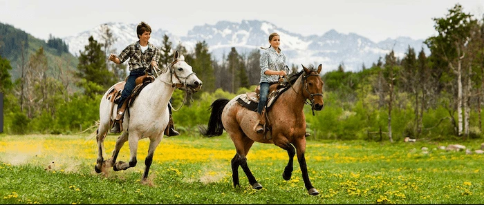 Confident plus-size woman riding Littlehampton a horse through a field with a smile on her face.